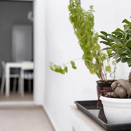 Apartamento Jenny